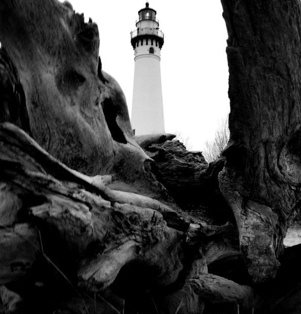 Driftwood and Lighthouse